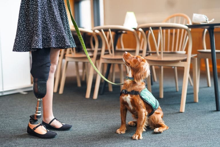 A person with a prosthetic leg stands with assistance dog on lead in front of table and chairs